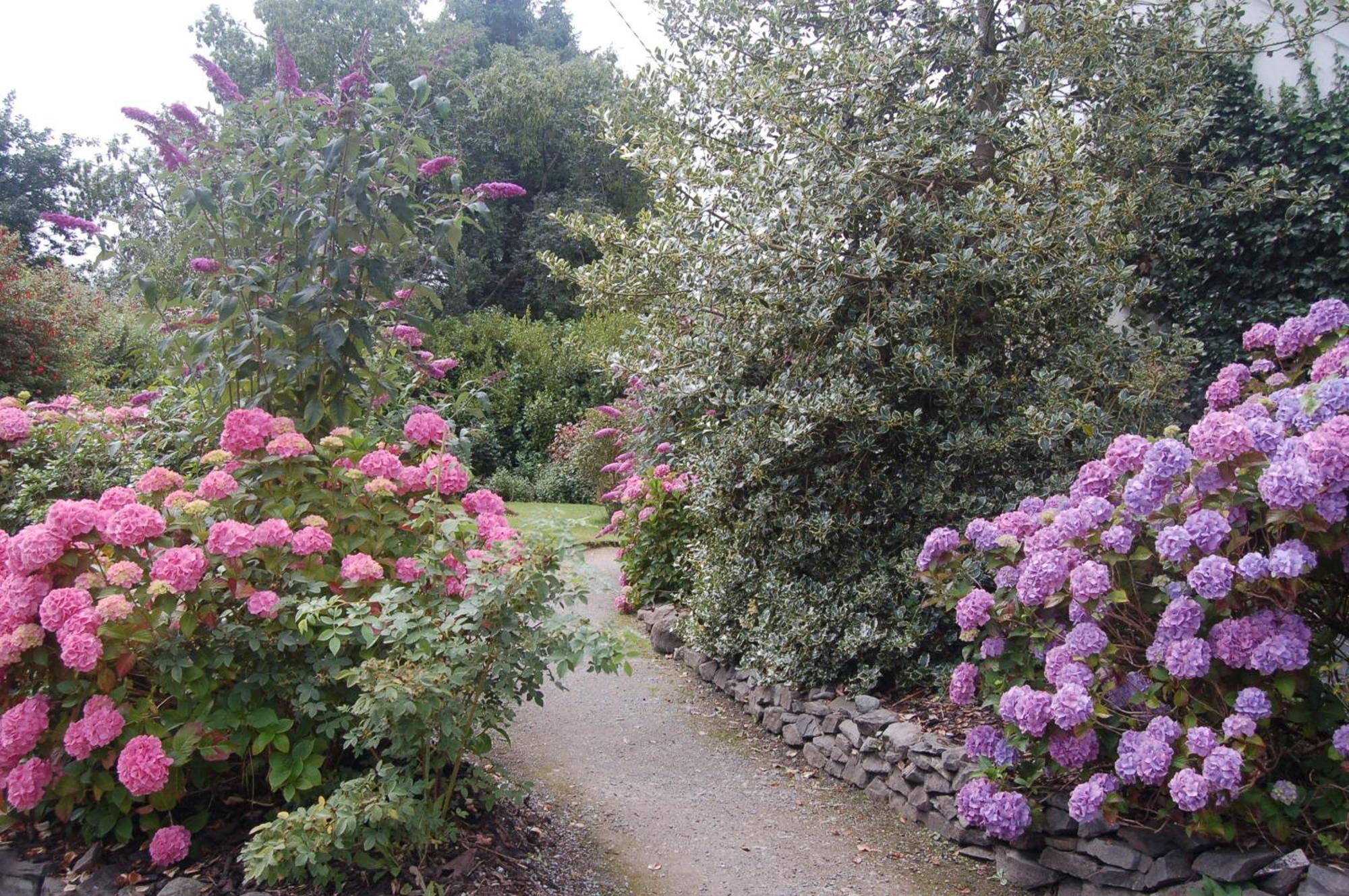 Beaufort Lodge B&B & Cottage Εξωτερικό φωτογραφία